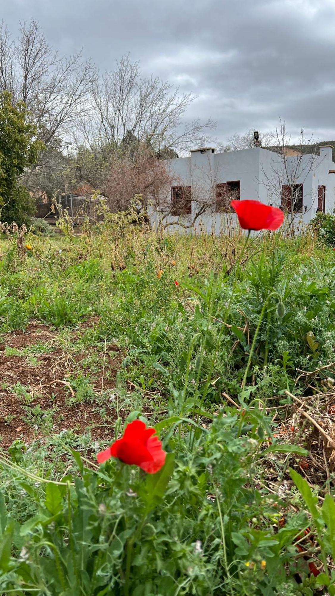 Villa Privee Reservee Aux Familles Aroggou Kültér fotó